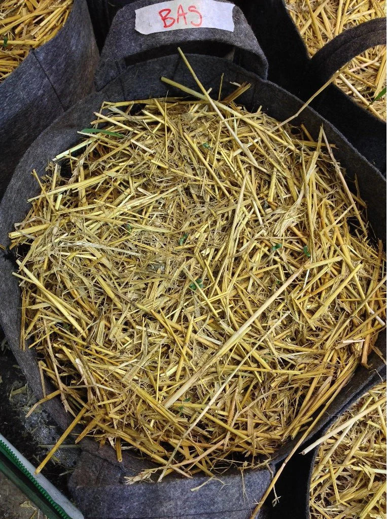 Barley Straw Mulch - 1/2 cu.ft.