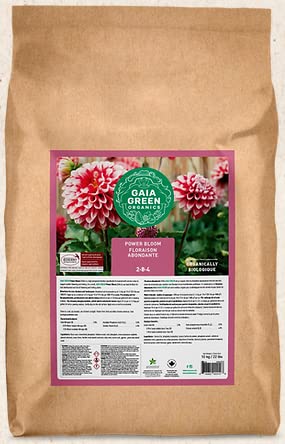 Gaia Green Power Bloom