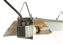 Load image into Gallery viewer, Econo Wing Reflector
