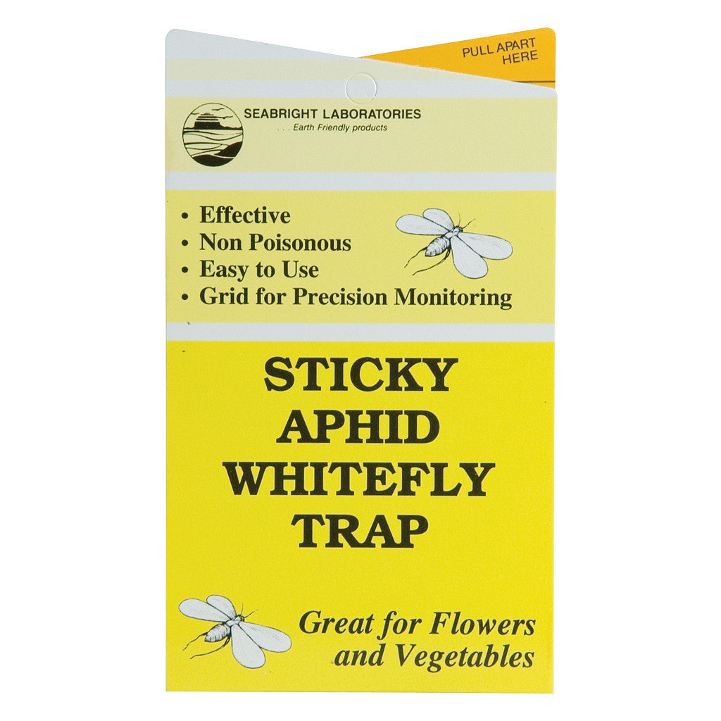 Sticky Aphid/Whitefly Traps, 5 Pack